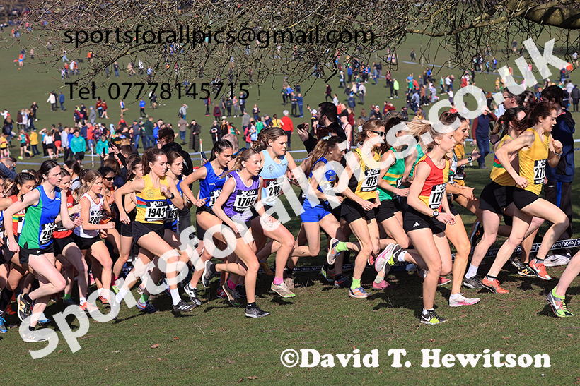 Senior womens 2025 UK CAU Inter Counties Cross Country Champs., Wollaton Park, Nottingham. Photo: David T. Hewitson/Sports for All Pics